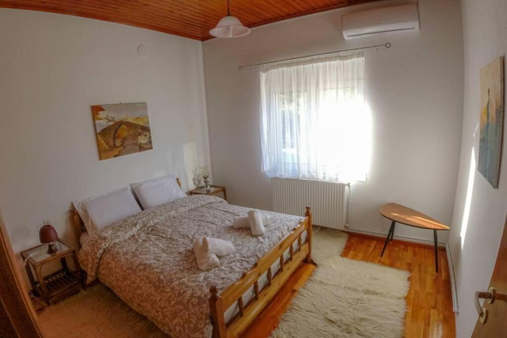 Breathtaking Lake View Cottage With A Fireplace Next To Ioannina City! Zewnętrze zdjęcie